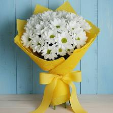 Букет цветов из:  Хризантемы в Красногорском Алтайского края