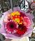 Букет цветов из: Герберы в Красногорском Алтайского края