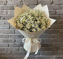 Букет цветов из:  Ромашки #REPLACE_PRED# Красногорском Алтайского края