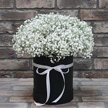 Цветочная композиция из Гипсофила в шляпной коробке в Красногорском Алтайского края